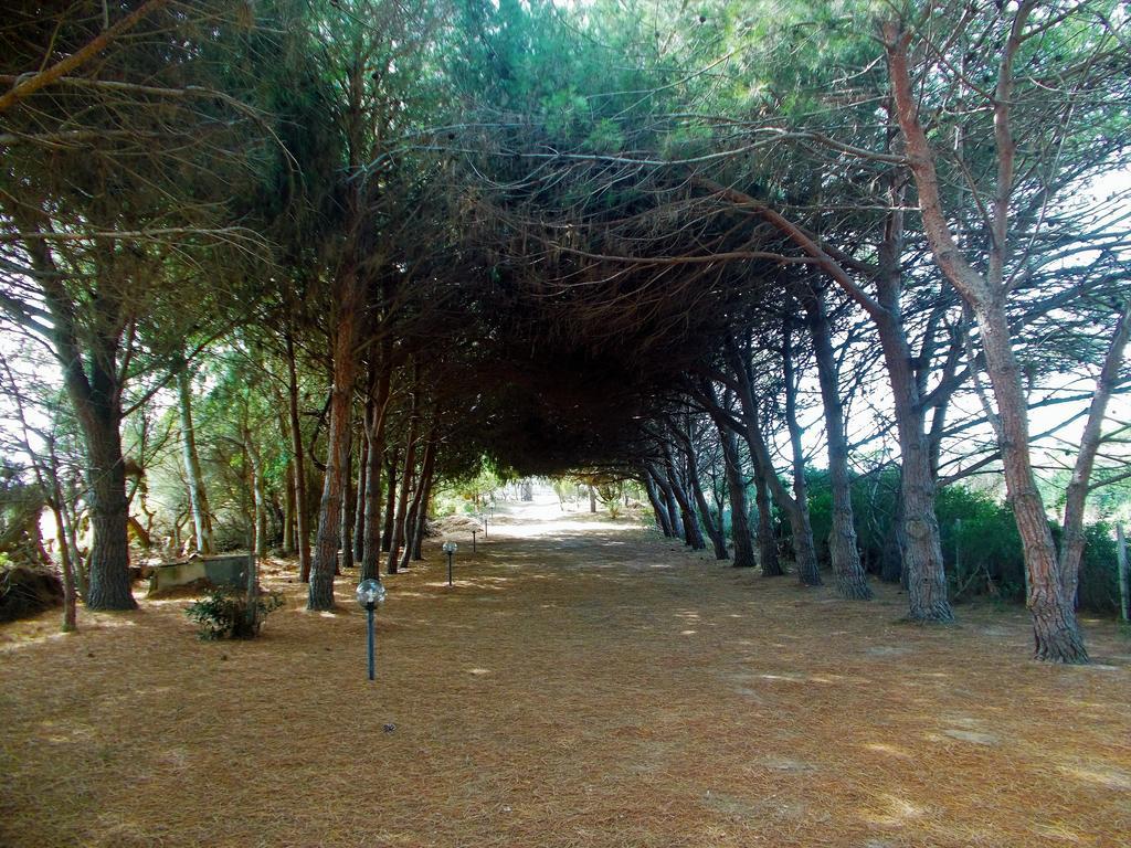 Pineta Spiaggia Grande Calasetta Exterior photo